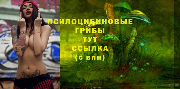 каннабис Аркадак